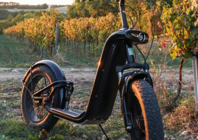 réserver trottinette dans le Tarn