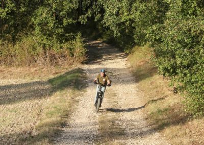 location de trottinettes en groupe à Tarn